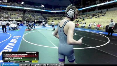 113 Class 1 lbs Champ. Round 1 - Christopher Ankenman, Father Tolton Regional Catholic vs Dawson Pelletier, South Harrison