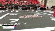 Guilherme Balieiro vs Pedro Henrique 2024 ADCC Sao Paulo Open