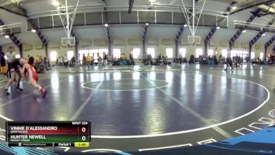 133 lbs Cons. Round 3 - Hunter Newell, Mount Union vs Vinnie D`Alessandro, Unattached