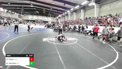 98 lbs Quarterfinal - Mason Pintor, Alamosa vs Mercer Hamilton, Mat Demon Wrestling Club