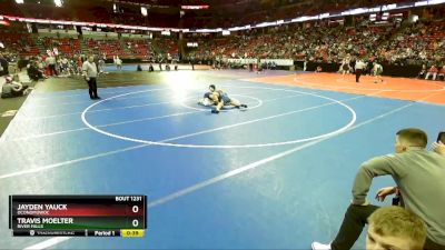 D1-126 lbs Cons. Round 2 - Jayden Yauck, Oconomowoc vs Travis Moelter, River Falls