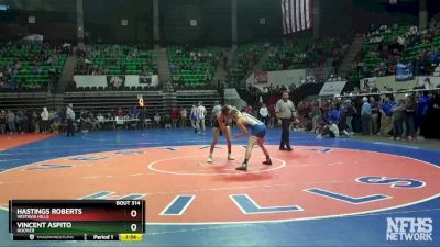 132 lbs 3rd Place Match - Hastings Roberts, Vestavia Hills vs Vincent Aspito, Hoover