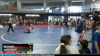 65 lbs Round 7 (10 Team) - Landon Wilbur, Predator Wrestling vs Kolt Palmer, Backyard Brawlers