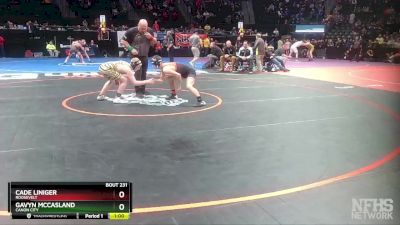 113-4A Cons. Round 2 - Cade Liniger, Roosevelt vs Gavyn McCasland, Canon City