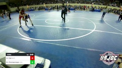 110 lbs Semifinal - Haolong Cai, Best Trained Wrestling vs Braydon Zimmerman, Lions Wrestling Academy