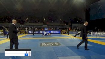 VINICIUS FERREIRA vs LEANDRO LO 2019 Pan Jiu-Jitsu IBJJF Championship