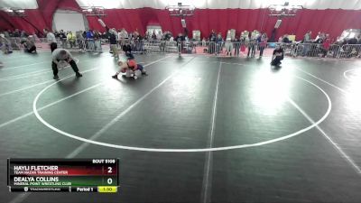 125 lbs 1st Place Match - Dealya Collins, Mineral Point Wrestling Club vs Hayli Fletcher, Team Nazar Training Center