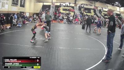 64 lbs Round 3 - Cael Miller, Irontide Wrestling Club vs Tanner James, Palmetto State Wrestling