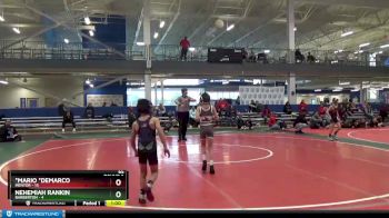 65 lbs Round 3 (8 Team) - Nehemiah Rankin, Barberton vs *Mario *Demarco, Mentor