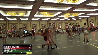 95 lbs Round 5 (6 Team) - VINCENT GRIPPA, Elite Wrestling vs Anthony Molinaro, Frost Gang