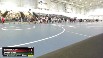 85 lbs Champ. Round 1 - Joey Marcellus, Wayne Wrestling Club vs Carter Haines, Cazenovia Creatures Wrestling Club