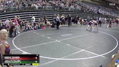 89 lbs Round 2 (4 Team) - Aeralyn Palmer, Minnesota Storm Blue vs Hadlie Younkin, Kansas Lavender Gecko