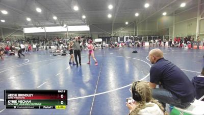 105 lbs Cons. Round 2 - Kyrie Mecham, Altamont Longhorn Wrestling vs Addie Brindley, Elite Wrestling