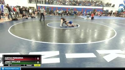 98 lbs Quarterfinal - Jared Wallace, Post Falls vs Justus Peregrina, Coeur D Alene