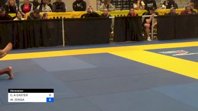 CHRISTOPHER A EASTER vs MICHAEL ZENGA 2023 World IBJJF Jiu-Jitsu No-Gi Championship