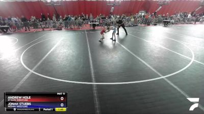 63 lbs Semifinal - Andrew Hole, RT Elite Wrestling vs Jonah Stuebs, Neenah Wrestling