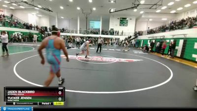 220 lbs Quarterfinal - Tucker Jensen, Wind River vs JADEN BLACKBIRD, Wyoming Indian