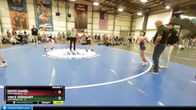 72 lbs Rd# 10- 4:00pm Saturday Final Pool - Hayes Daniel, Team Michigan vs Vince Weingart, Westshore D.S