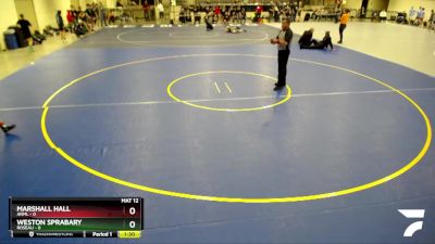 85 lbs Finals (8 Team) - Marshall Hall, ANML vs Weston Sprabary, Roseau