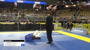 JAMES EDWARD TOLLIVER JR vs DEVIN PATRICK RILEY 2024 Pan Jiu Jitsu IBJJF Championship