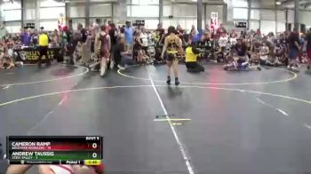 65 lbs Round 2 (6 Team) - Andrew Taussig, Steel Valley vs Cameron Ramp, Backyard Brawlers