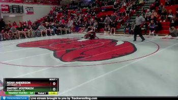 144 lbs Quarterfinals (8 Team) - Noah Anderson, Lee County vs Dmitriy Vostrikov, North Forsyth