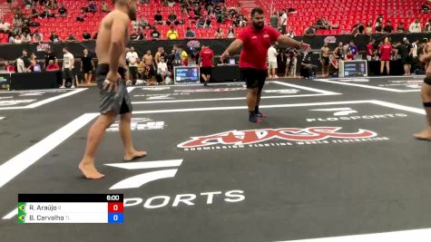 Raimundo Araújo vs Brenno Carvalho 2024 ADCC Sao Paulo Open