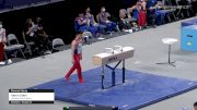 Aaron Stein - Pommel Horse, Houston Gym Center - 2021 US Championships