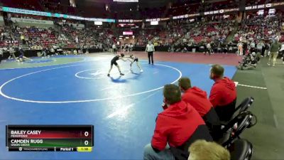 D1-106 lbs Quarterfinal - Camden Rugg, Union Grove vs Bailey Casey, Menomonie