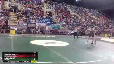 182 lbs Quarterfinal - Birch Bang, Killdeer vs Tristan Pekas, Hettinger/Scranton