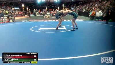 132-4A Cons. Round 1 - Tyson Stahlecker, Palmer Ridge vs Wyatt Nelson, Standley Lake