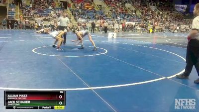 106 lbs Cons. Semi - Jack Schauer, Jamestown vs Alijah Piatz, Bismarck Century