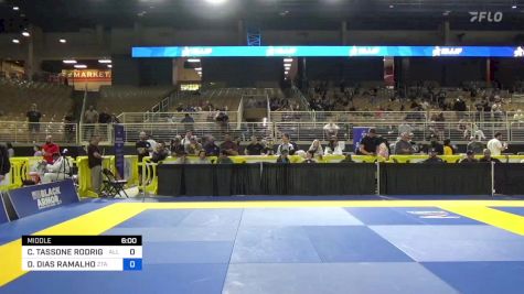 CARLOS TASSONE RODRIGUES vs DIEGO DIAS RAMALHO 2024 Pan Jiu Jitsu IBJJF Championship