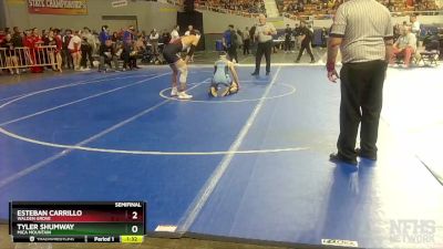 D3-157 lbs Semifinal - Esteban Carrillo, Walden Grove vs Tyler Shumway, Mica Mountain