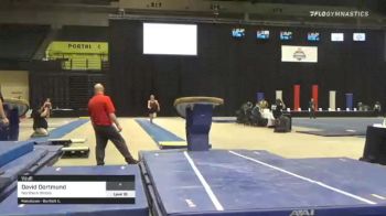 David Dortmund - Vault, Northern Illinois - 2021 Men's Collegiate GymACT Championships