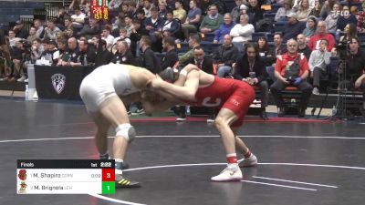 157 lbs Final - Meyer Shapiro, Cornell vs Max Brignola, Lehigh