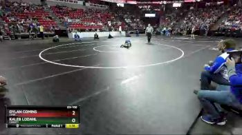 D3-106 lbs Champ. Round 1 - Kaleb Lodahl, Cadott vs Dylan Comins, Lena
