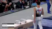 Toby Liang - Pommel Horse, Roswell Gymnastics - 2021 US Championships