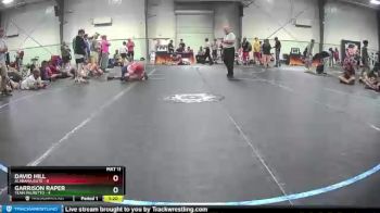 95 lbs Round 7 (8 Team) - Garrison Raper, Team Palmetto vs David Hill, Alabama Elite