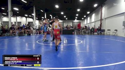 106 lbs Round 3 (8 Team) - Noah Lynch, South Carolina vs Aidan McMurtry, Missouri Blue