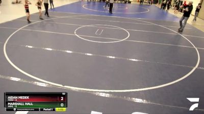 85 lbs Semis & 1st Wrestleback (8 Team) - Aidan Medek, Pierz vs Marshall Hall, ANML