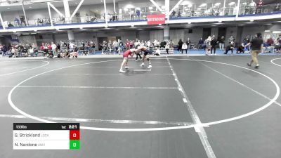 133 lbs Round Of 16 - Gable Strickland, Lock Haven University vs Nico Nardone, University Of Pennsylvania