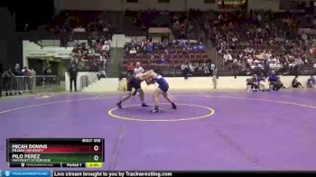 184 lbs 5th Place Match - Micah Downs, Millikin University vs Pilo Perez, University Of Dubuque