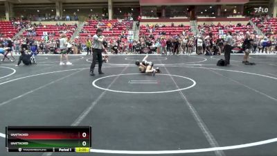 75 lbs Semifinal - Lynkin Carter, Honey Badger Wrestling Club vs Emmeline Barry, Nebraska Wrestling Academy