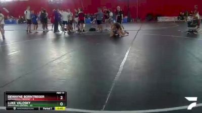132-132 lbs Round 3 - Luke Valosky, Grayslake Central vs DeWayne Borntreger, Weyauwega-Fremont
