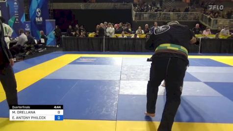 MAURICIO ORELLANA vs ERIC ANTONY PHILCOX 2024 Pan Jiu Jitsu IBJJF Championship