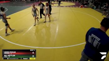 102 lbs Placement (4 Team) - Aiden Pickar, Brainerd vs Bly Mettler, LCWM