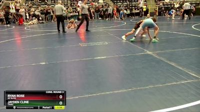 95 lbs Cons. Round 3 - Ryan Rose, DC Elite vs Jayden Cline, THWC