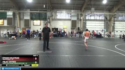 76-80 lbs Round 3 - Ethan Halstead, Unattached vs Miles Haynes, North Baltimore Wrestling Club