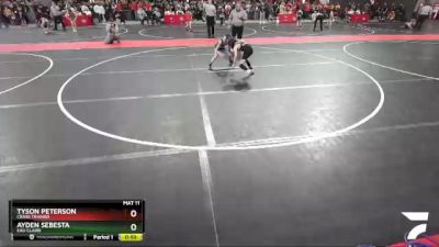 63 lbs Semifinal - Ayden Sebesta, Eau Claire vs Tyson Peterson, Crass Trained